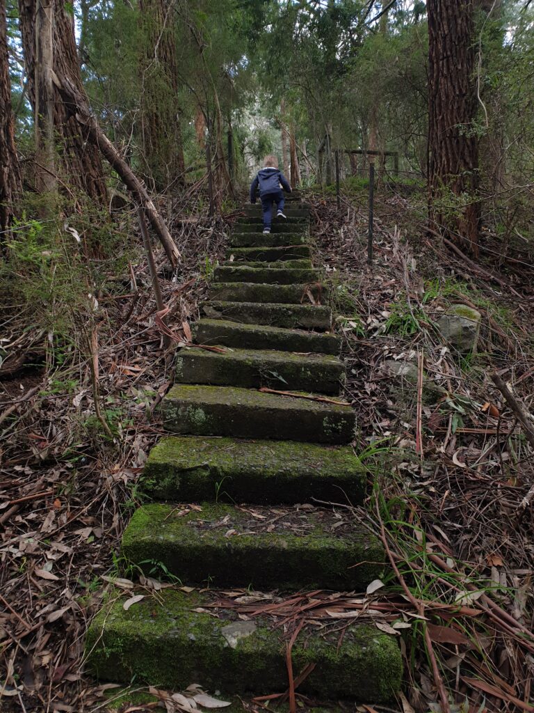 A boy climbing steps in a forest.