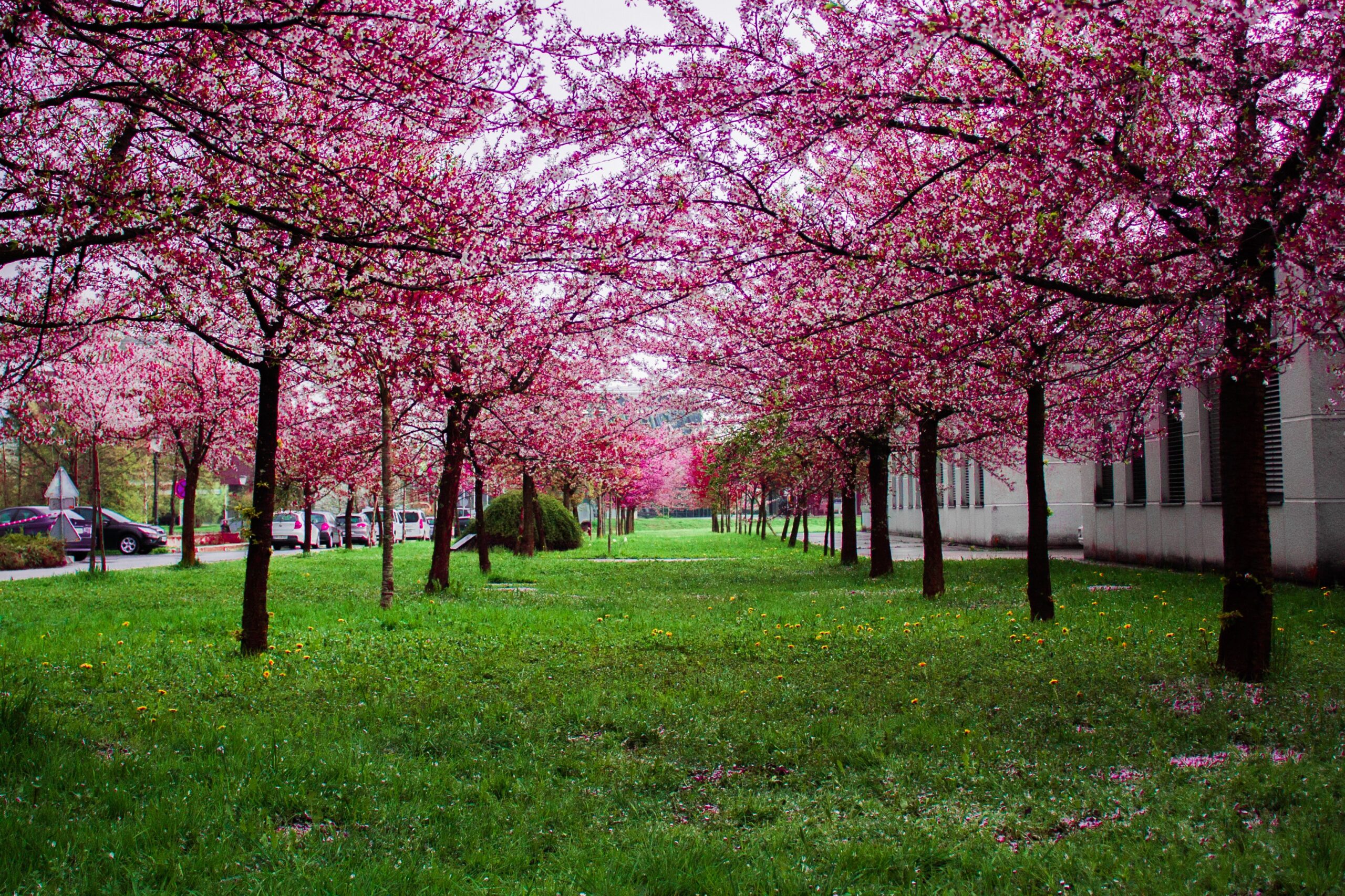 Improve your happiness by going into nature.